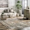 Nuloom Charvi Distressed Medallion Fringe Area Rug 9ft x 12ft BDSN04A-9012 - alternate 1